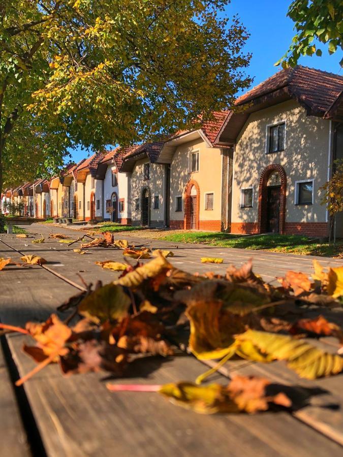 Cejkovsky Dvorek Cejkovice  Bagian luar foto
